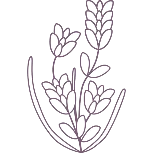 Lavanta Eczanesi'nin Logosu